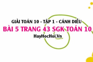 Giải bài 5 trang 43 Toán 10 Tập 1 SGK Cánh Diều